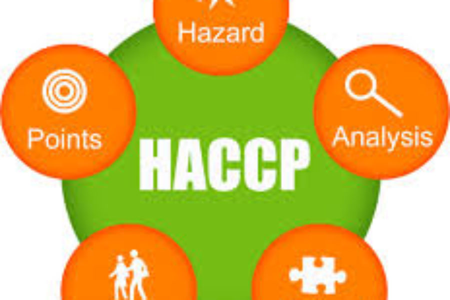 Corsi H.A.C.C.P.